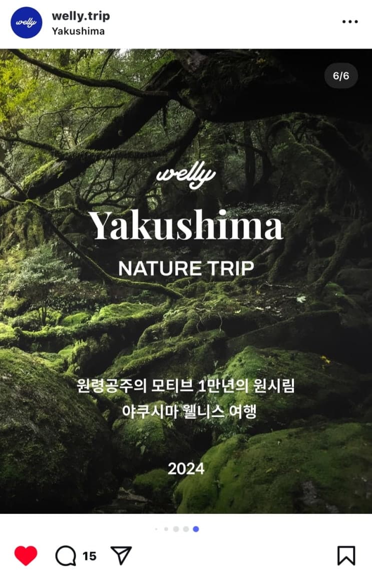 웰리트립후기 야쿠시마 트레킹 오키나와 서프요가 스노클링