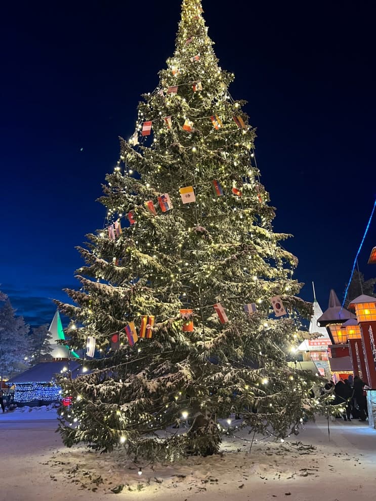 핀란드 여행 :: 내돈내산 웰리트립으로 크리스마스 보내는 후기