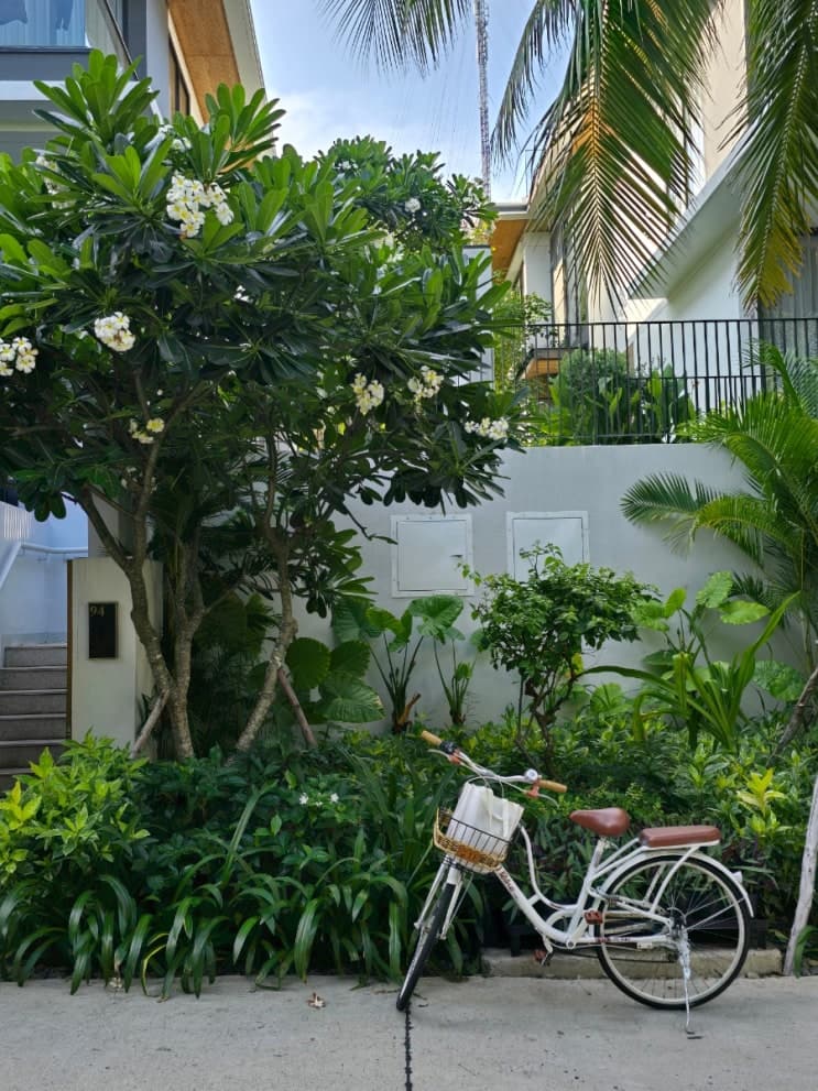 혼자라서 나트랑에 갈 일은 없을 줄 알았건만 - 웰리트립 나트랑 후기