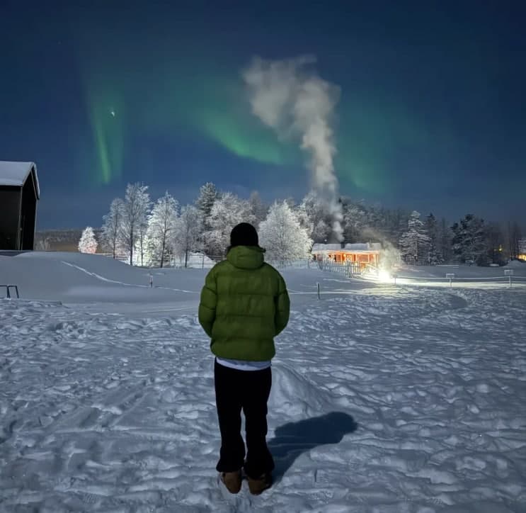 ✦ Aurora Beginner's Guide