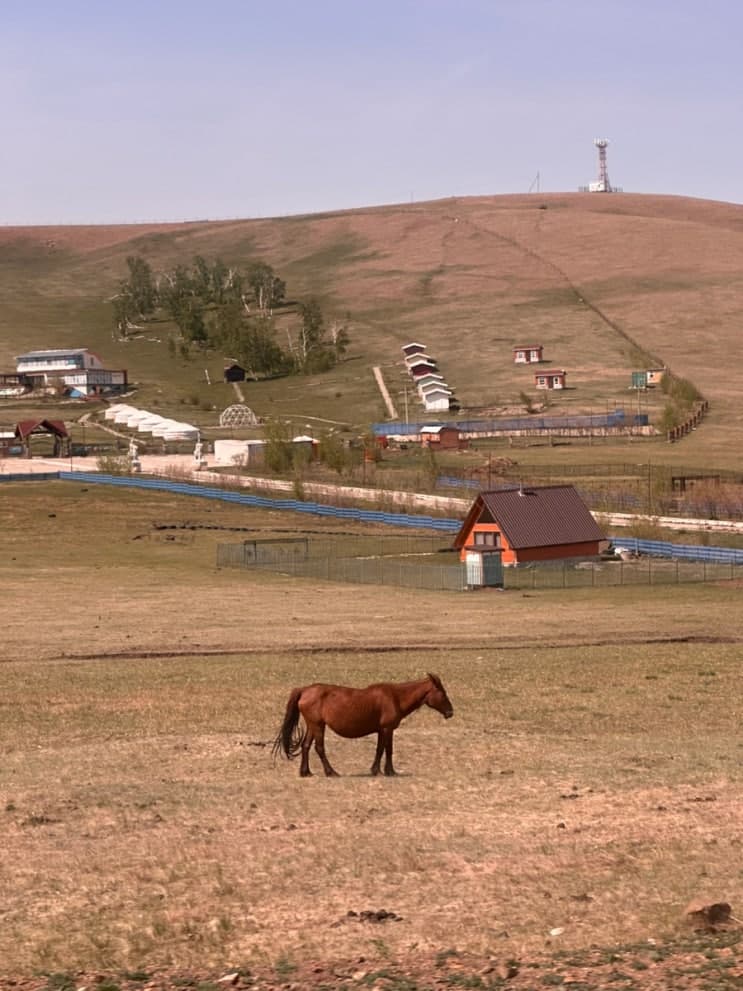 몽골 내돈내산 여행 1탄 | 몽골후기 여정 & 추천리스트 | 웰리트립