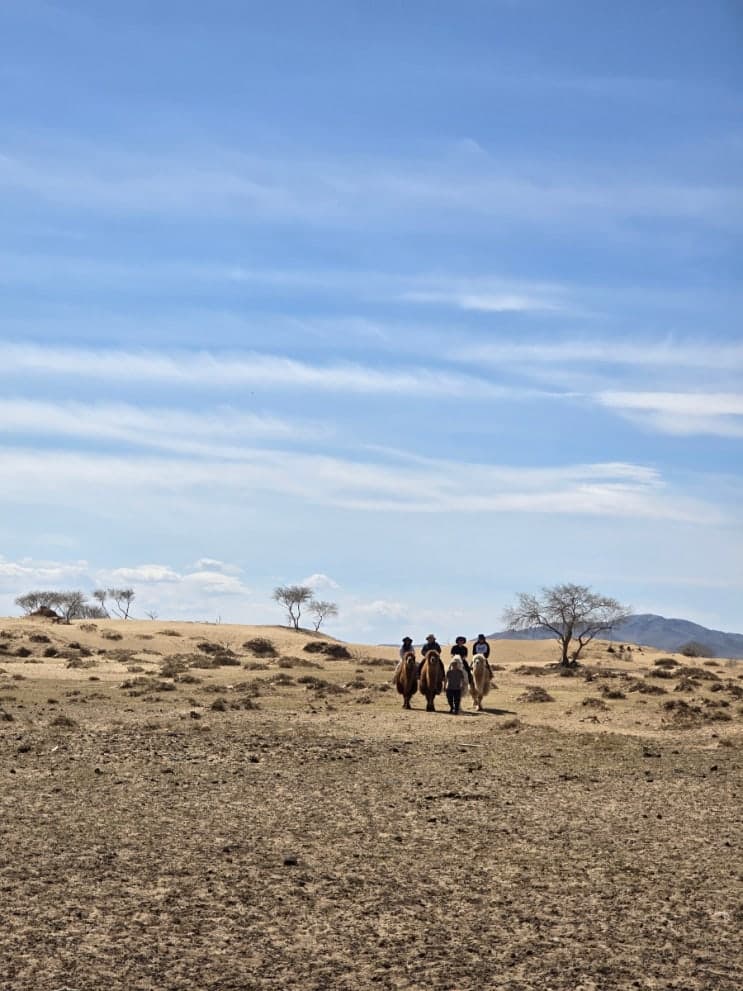인스타 광고에 혹해서 웰리로 몽골 갔다옴